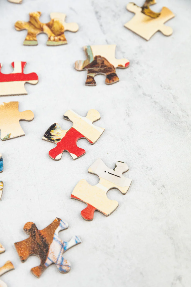 240 Piece Mini Puzzle - Cats & Dogs - Image 5