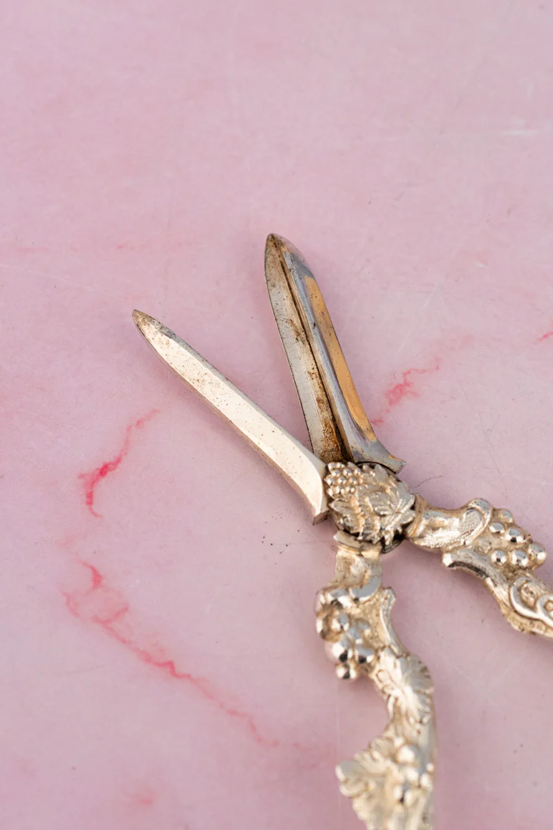 Antique English Silverplate Grape Shears - Image 5