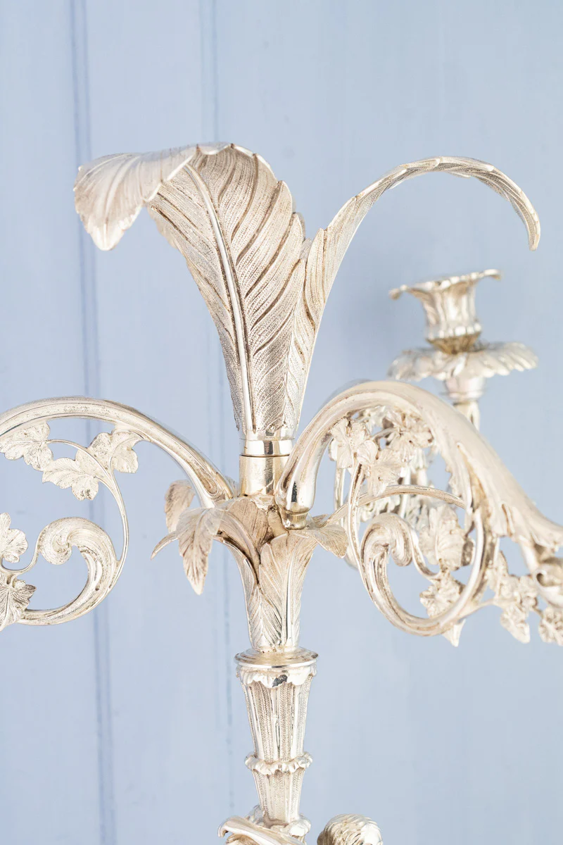 Antique English Silverplate Candelabra Épergne - Image 18