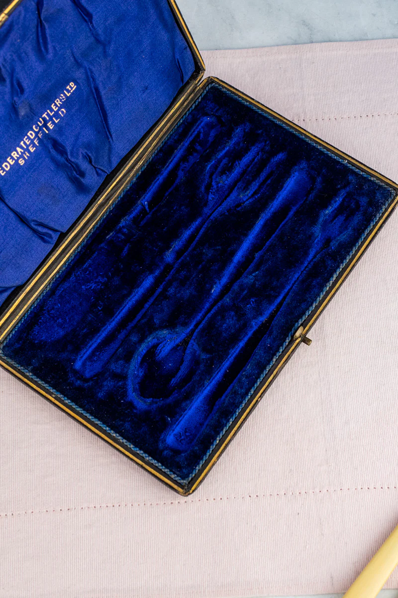 Antique Silverplate & Ivorine Server Set in Case - Image 13