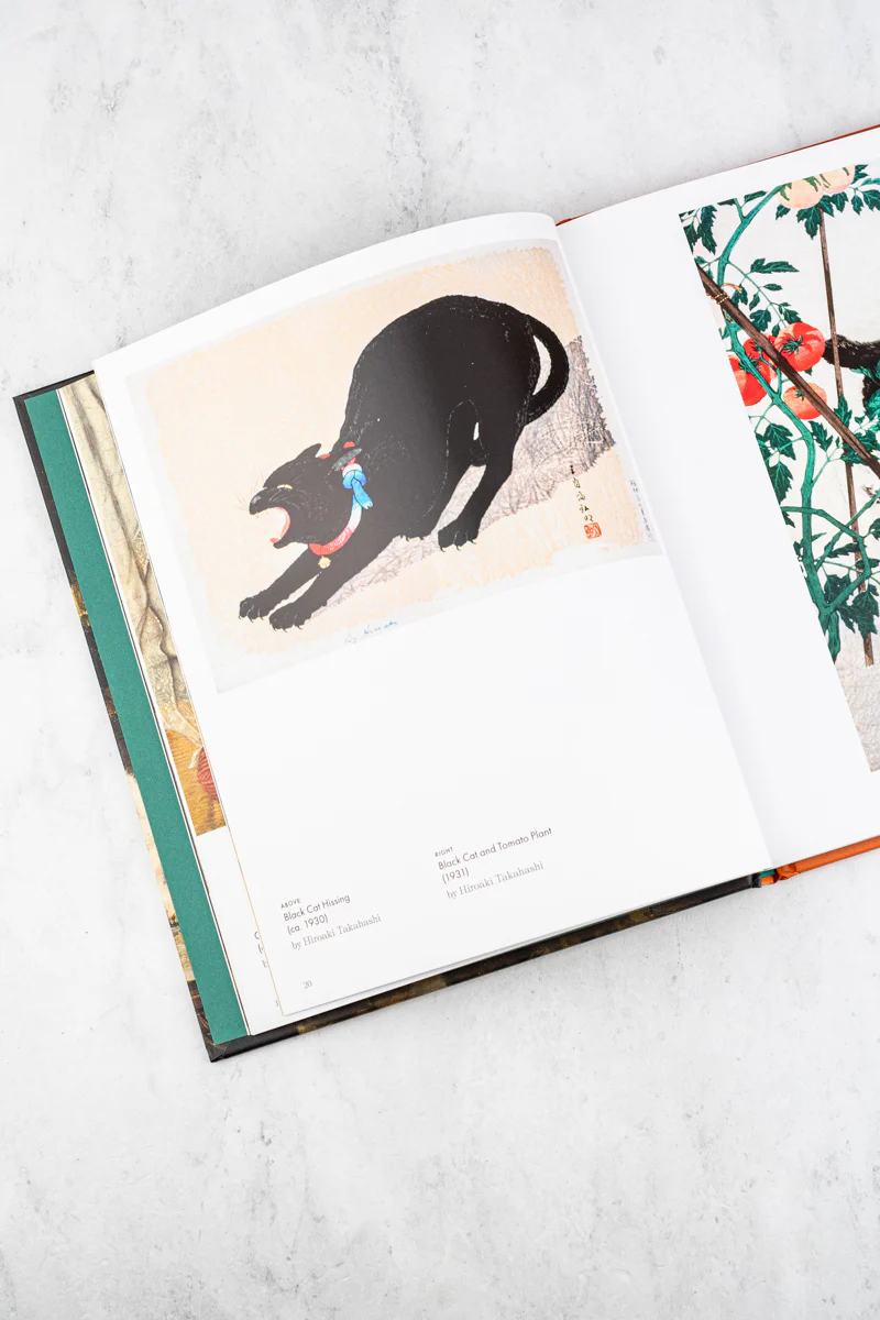 Art Cat Book - Image 5