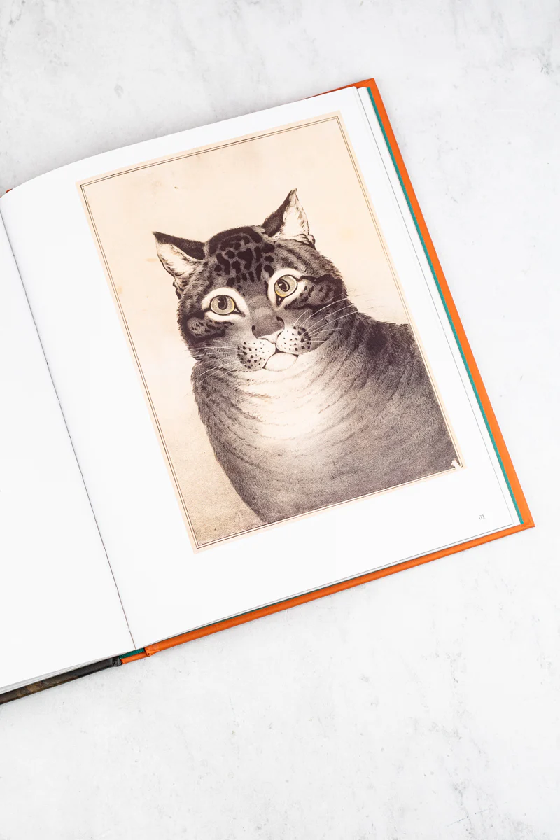 Art Cat Book - Image 6