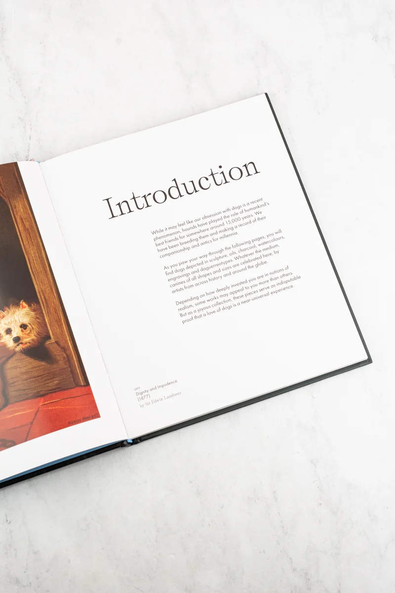 Art Dog Book - Image 3