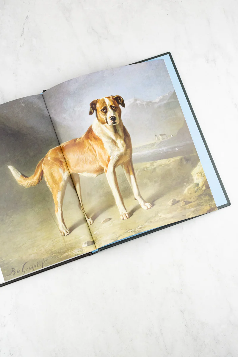 Art Dog Book - Image 9