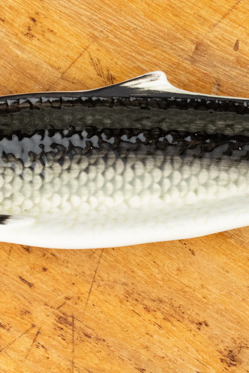 Ceramic Sardine Dish - Image 10