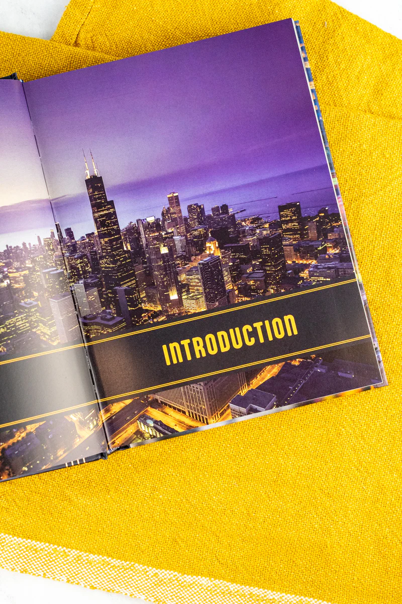 Chicago Cocktails Book - Image 6