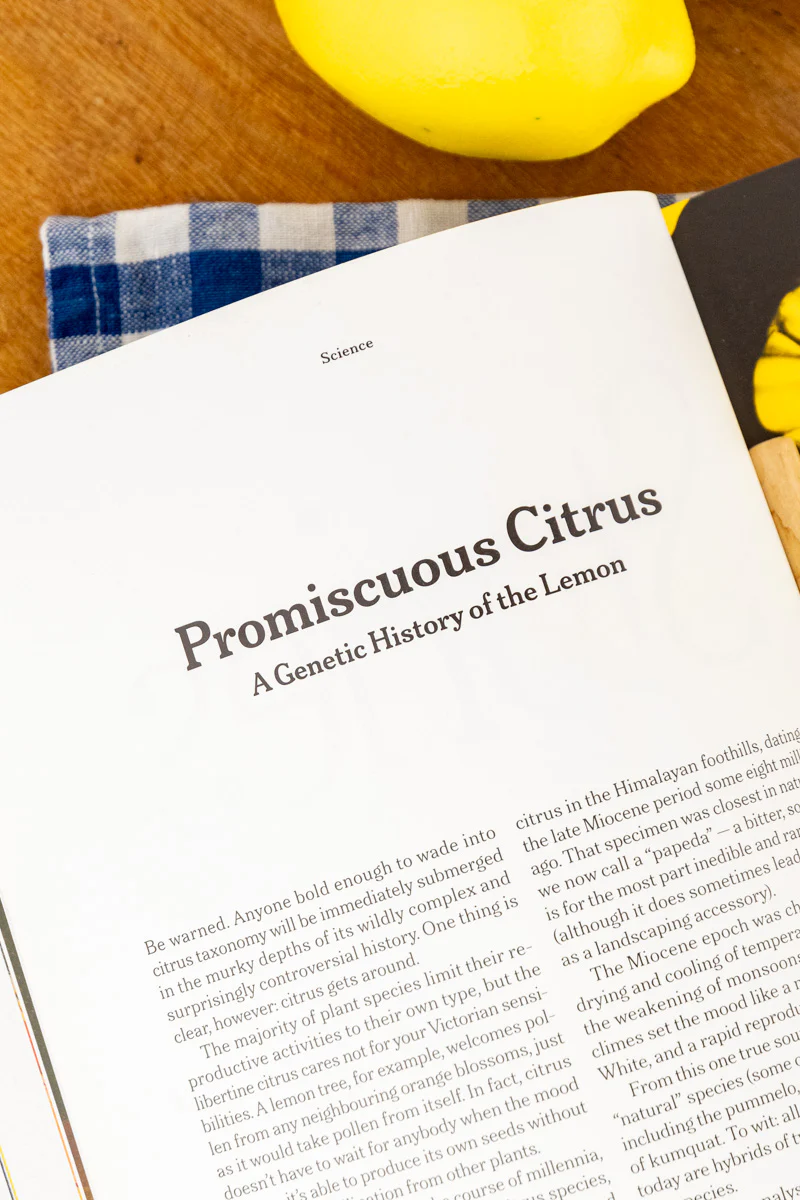 Lemon: A Collection of Stories and Recipes Book - Image 10