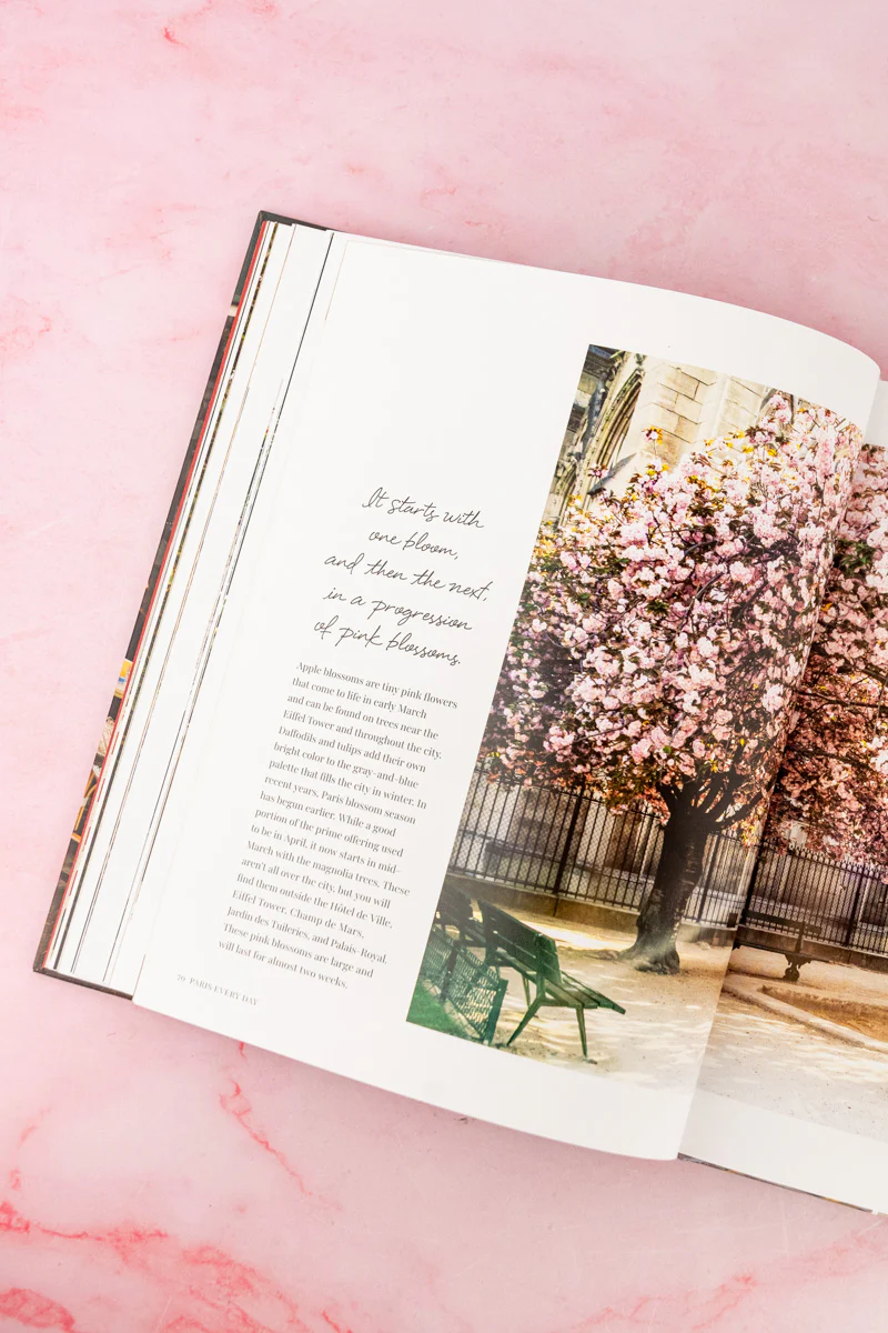Paris Every Day Book - Image 10