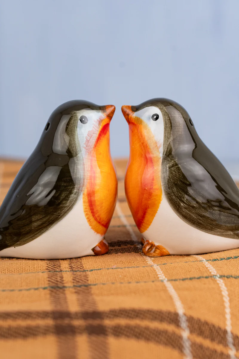 Robin Salt & Pepper Set - Image 2