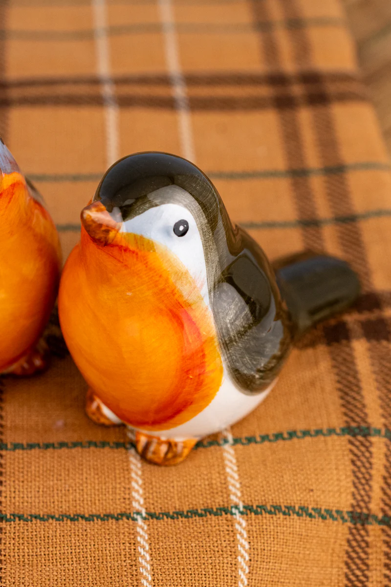 Robin Salt & Pepper Set - Image 5