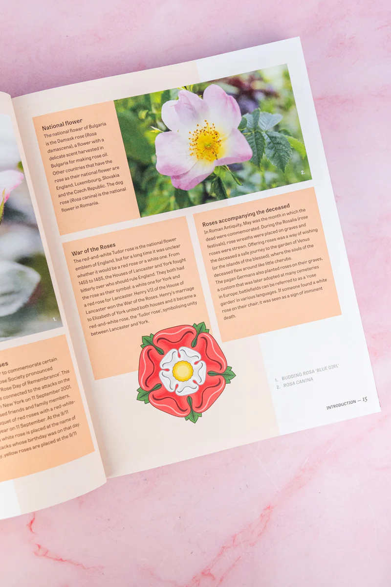 The Joy of Roses Book - Image 5