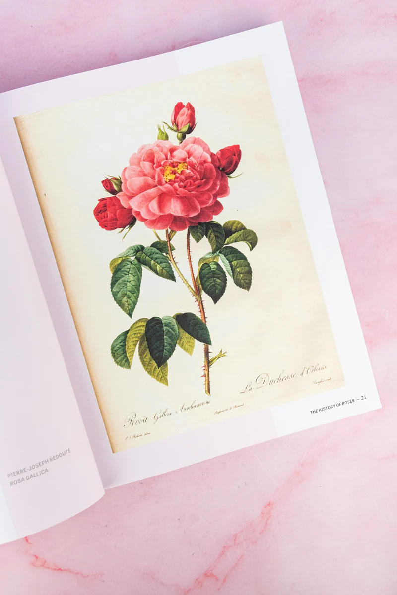 The Joy of Roses Book - Image 6
