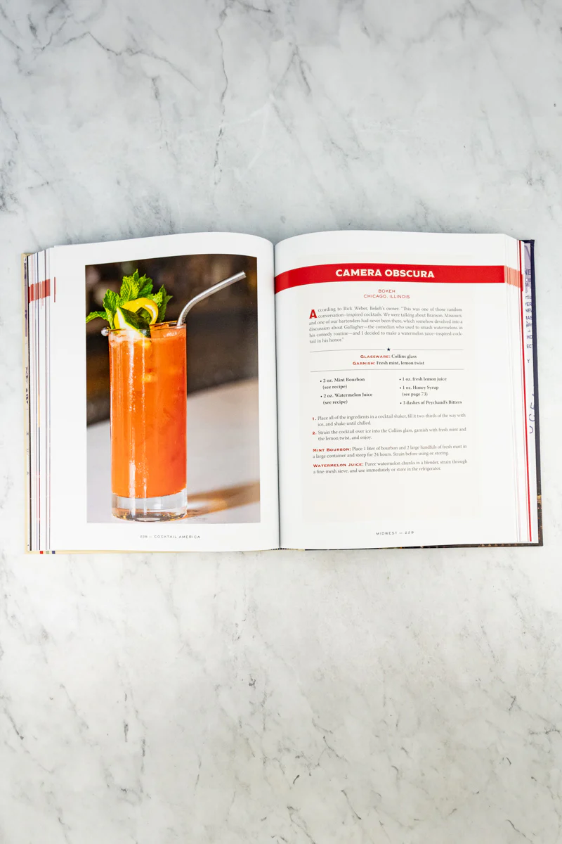 Cocktail America: Over 200 Cocktails from America's Greatest Cities - Image 12