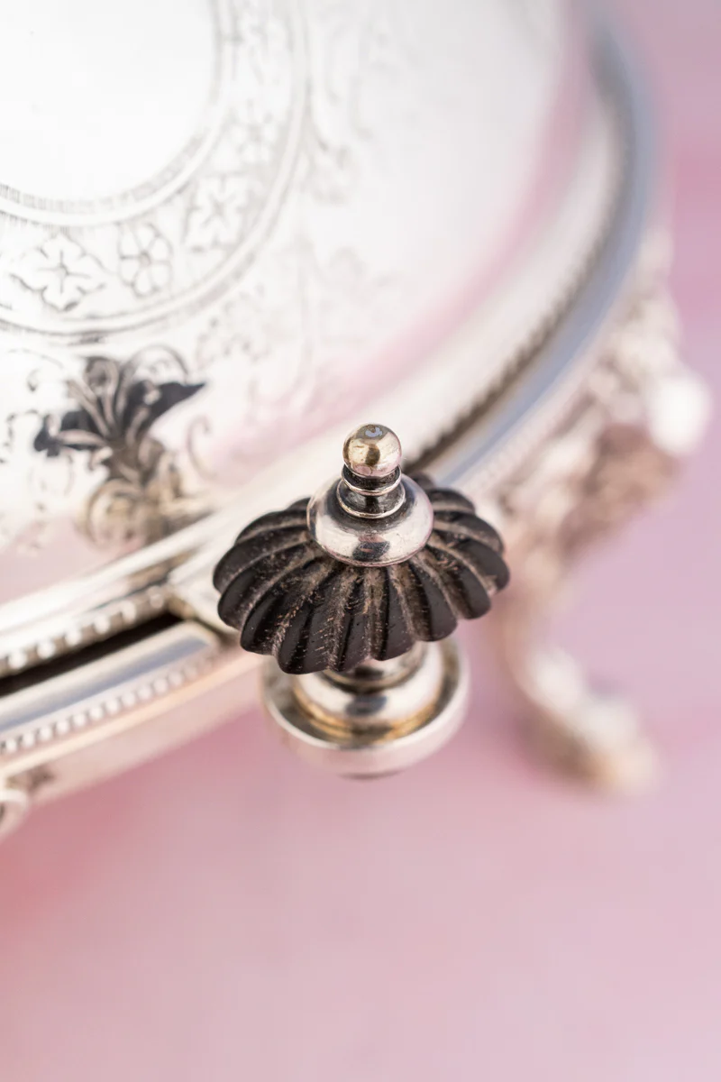 Victorian Silverplate Roll Top Server - Image 13