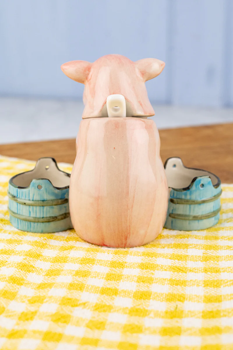 Grinning Piggy Ceramic Cruet - Image 7