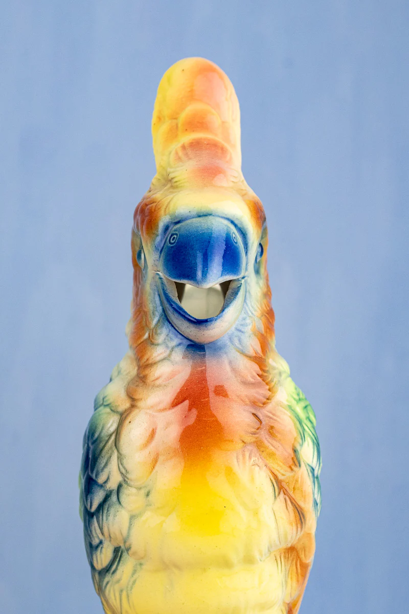 Vintage French St. Clément Cockatoo Pitcher - Image 7