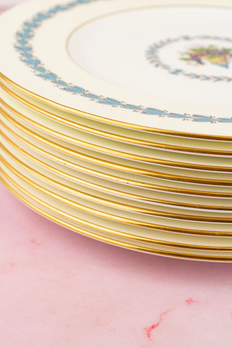 Vintage Wedgwood Appledore Dinner Plates - Set of 10 - Image 8